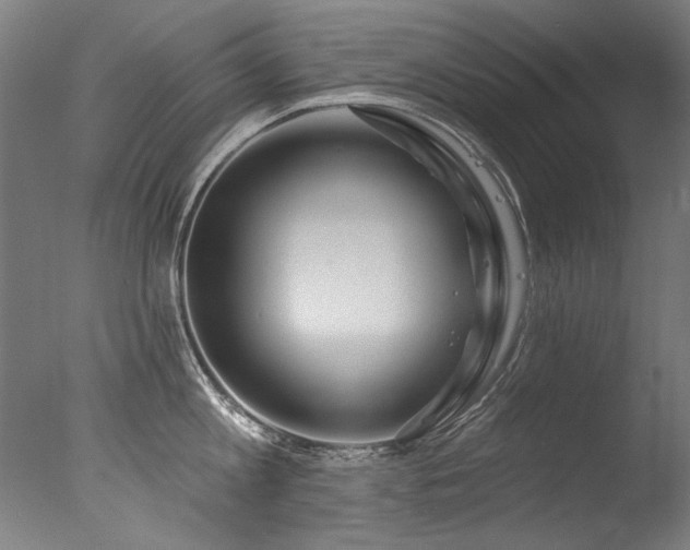 X0000077310813200610201151