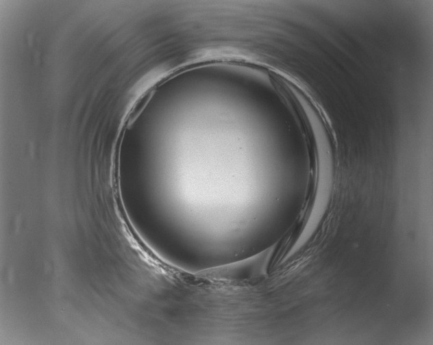 X0000077310815200610201151