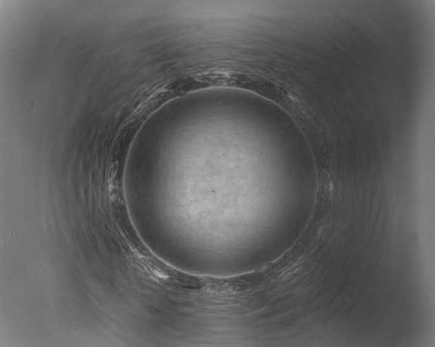 X0000077310818200610201151