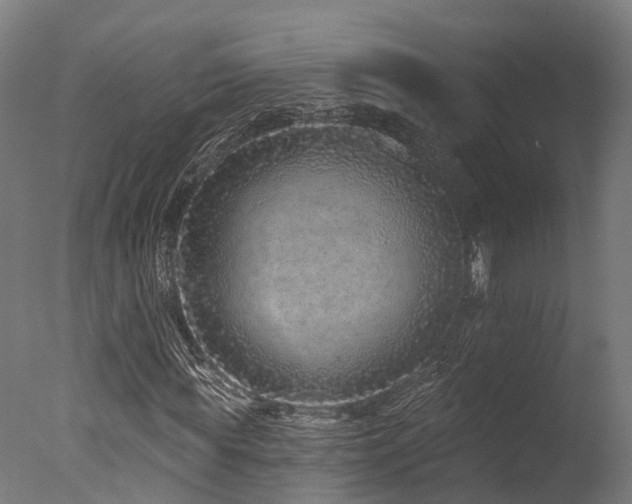 X0000077310819200610201151