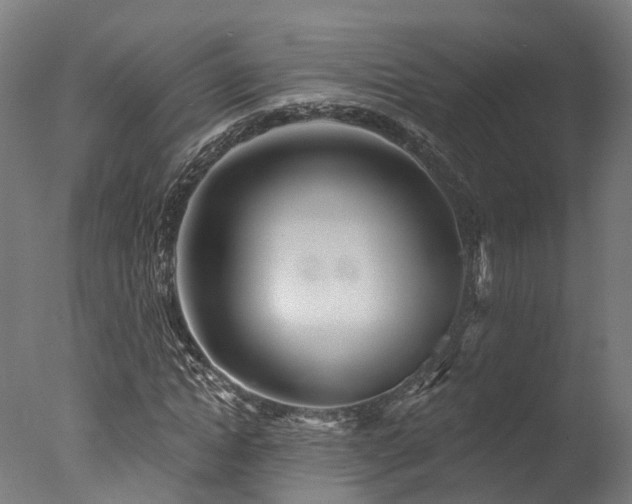 X0000077310822200610201151