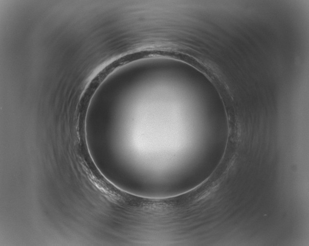 X0000077310830200610201151