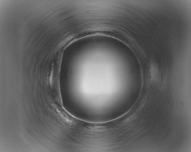 X0000077310833200610201151