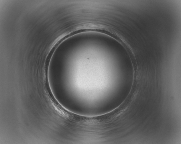 X0000077310837200610201151