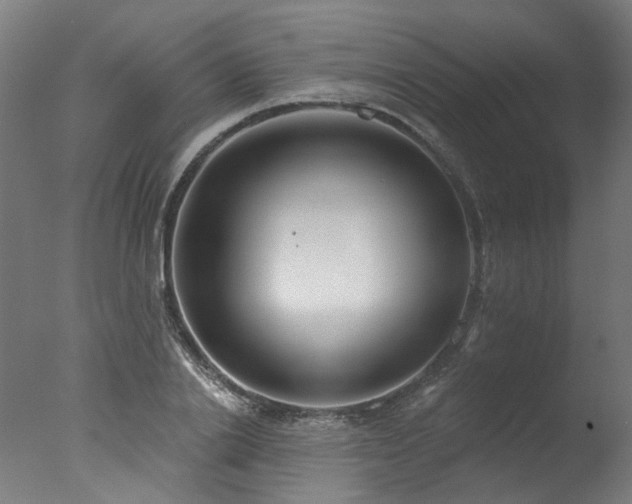 X0000077310838200610201151