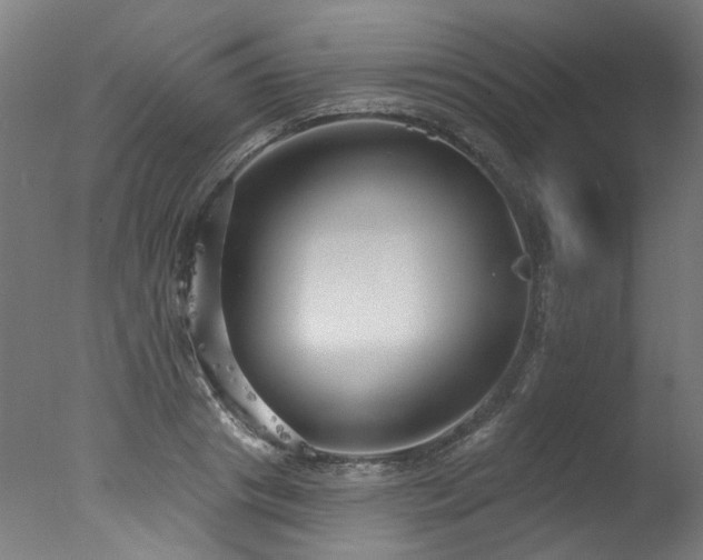X0000077310841200610201151