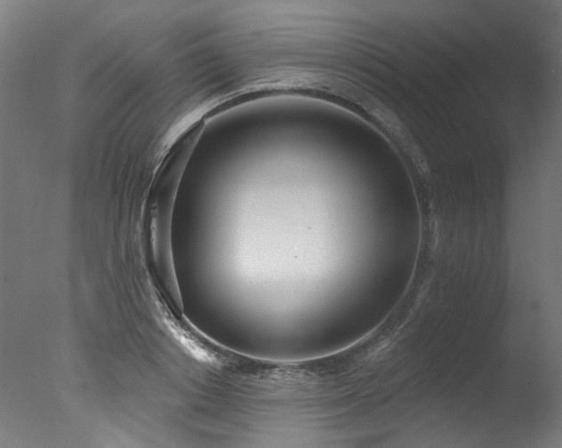X0000077310842200610201151