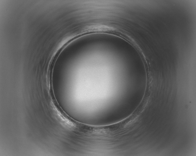 X0000077310843200610201151