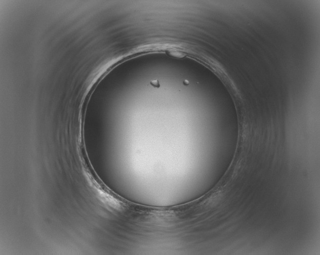 X0000077310844200610201151