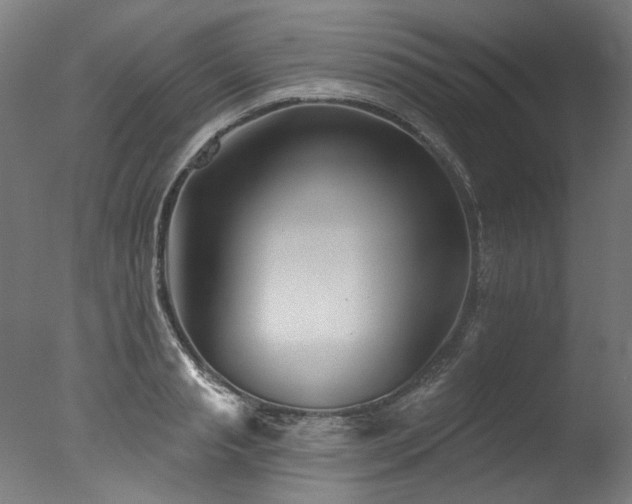 X0000077310845200610201151