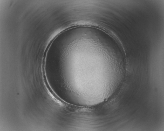 X0000077310847200610201151