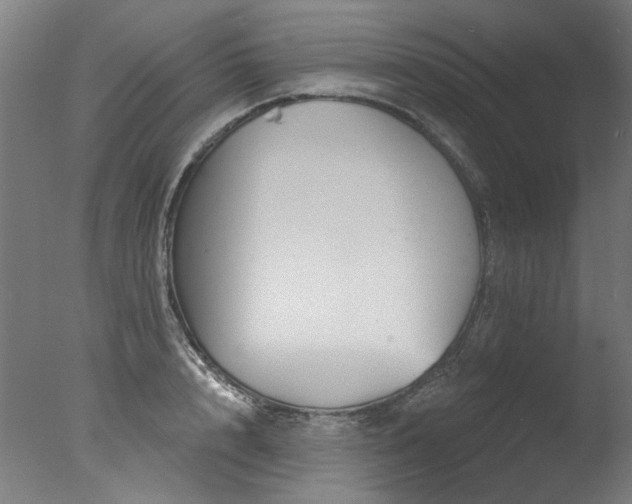 X0000077310848200610201151