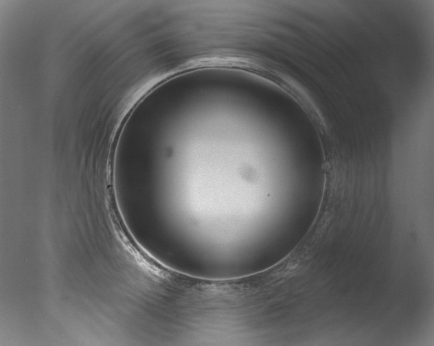 X0000077310852200610201151