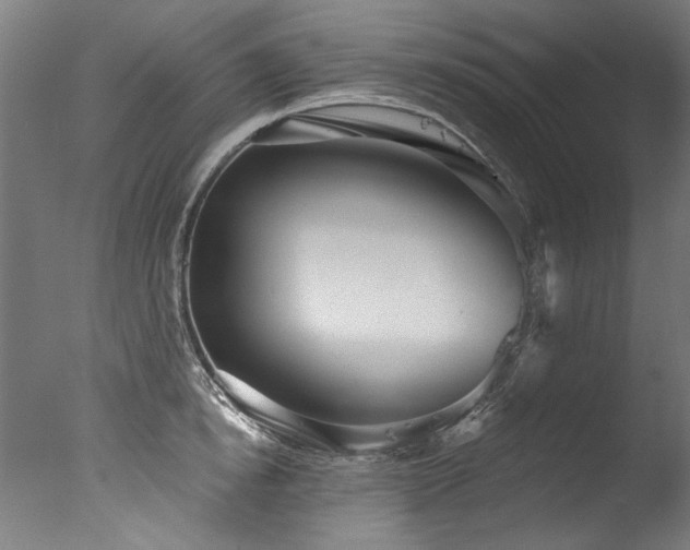 X0000077310854200610201151