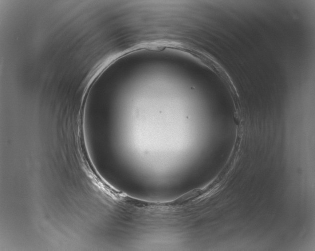 X0000077310860200610201151