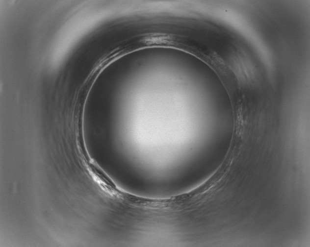 X0000077310861200610201151
