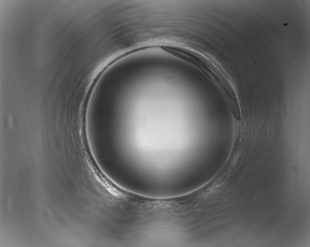 X0000077310862200610201151