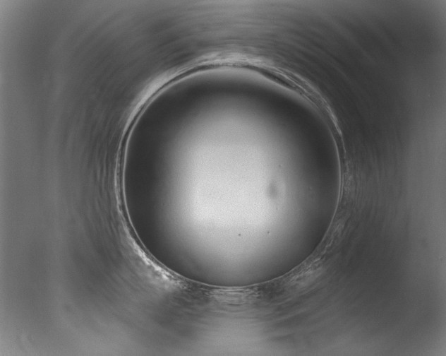 X0000077310863200610201151