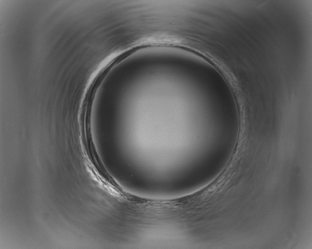 X0000077310864200610201151
