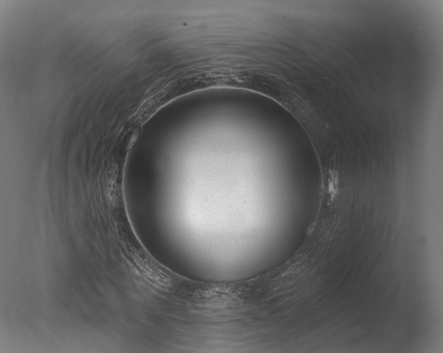 X0000077310867200610201151