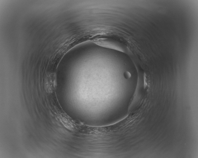 X0000077310868200610201150