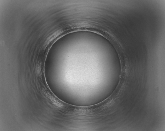 X0000077310873200610201150