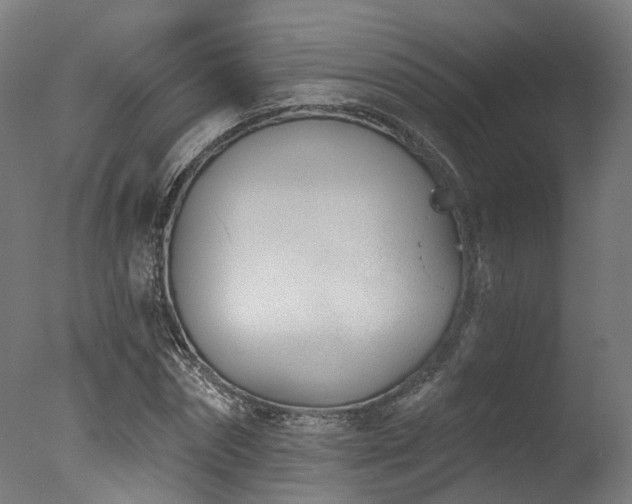 X0000077310874200610201150
