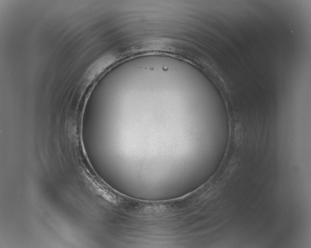 X0000077310882200610201150