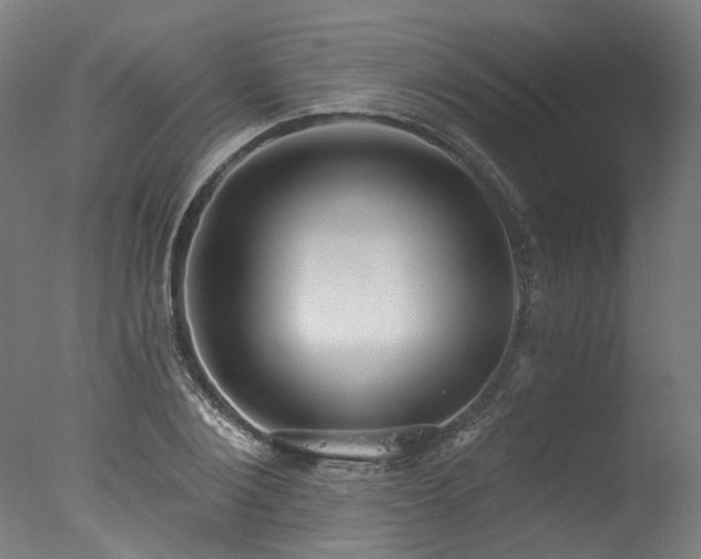 X0000077310884200610201150