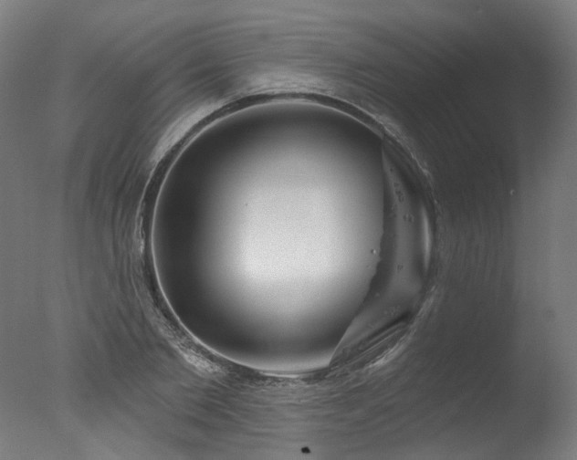 X0000077310885200610201150