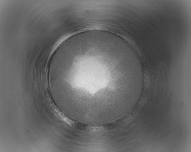 X0000077310886200610201150