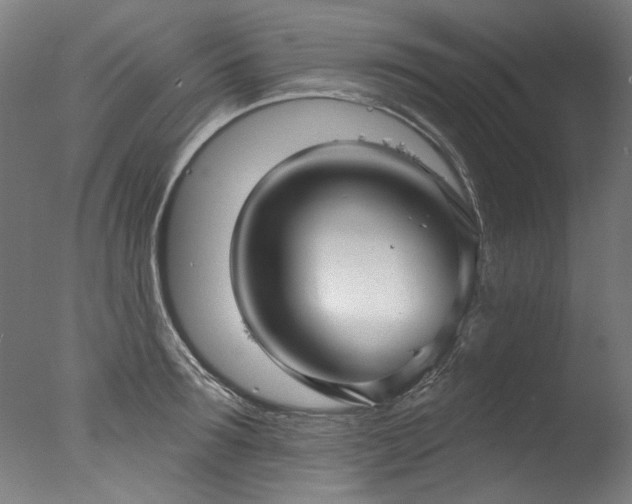 X0000077310899200610201150