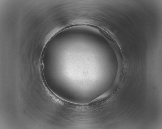 X0000077310901200610201150
