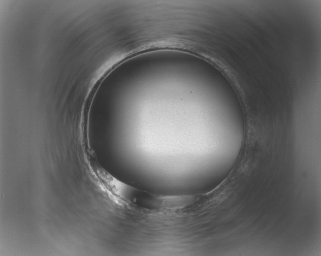 X0000077310902200610201150