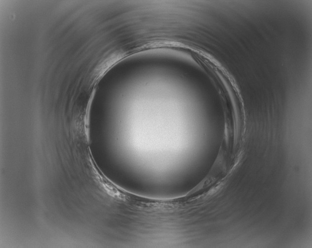 X0000077310905200610201150