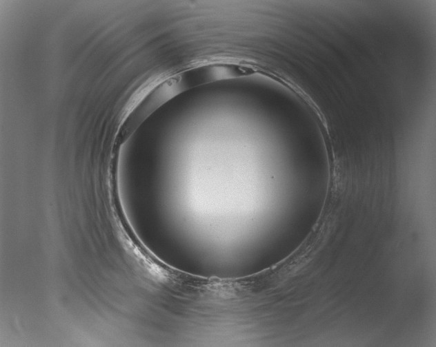 X0000077310906200610201150