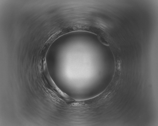 X0000077310915200610201149