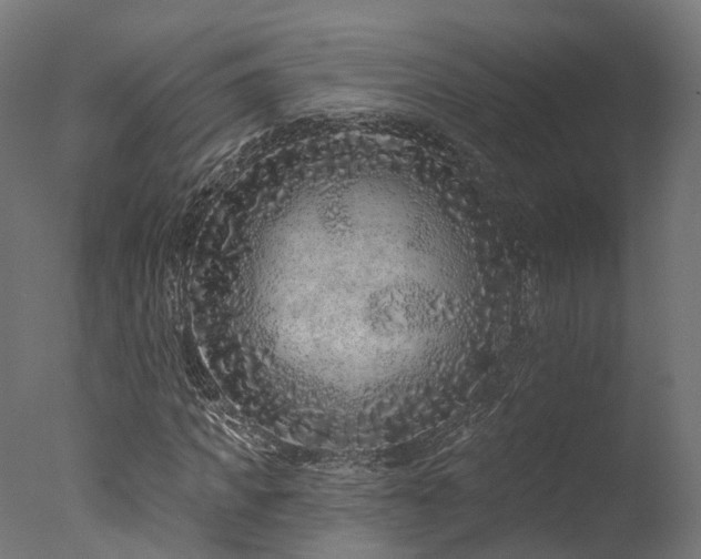 X0000077310917200610201149