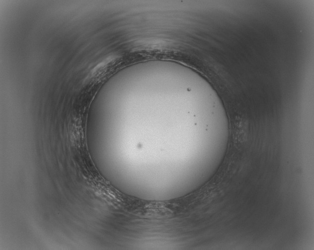 X0000077310918200610201149