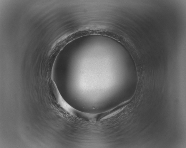 X0000077310920200610201149