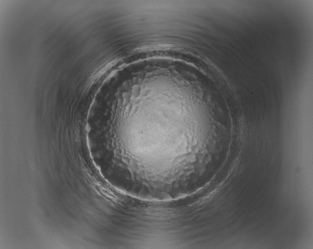 X0000077310921200610201149