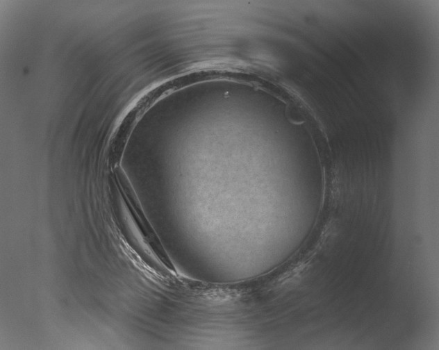 X0000077310923200610201149