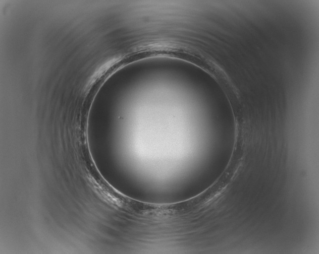 X0000077310930200610201149