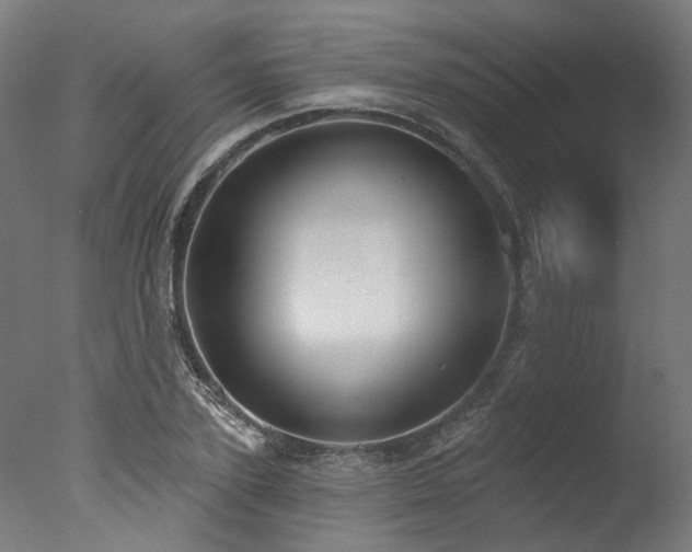 X0000077310931200610201149
