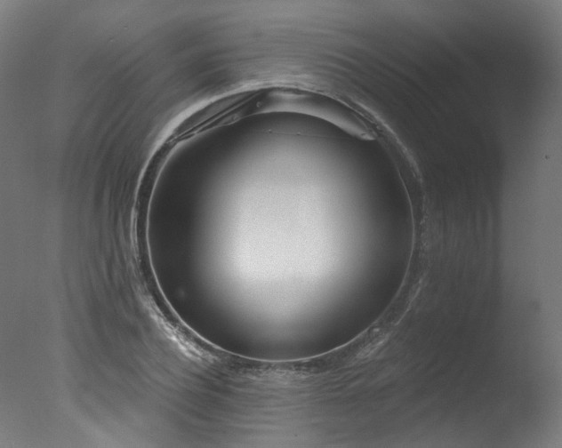 X0000077310932200610201149