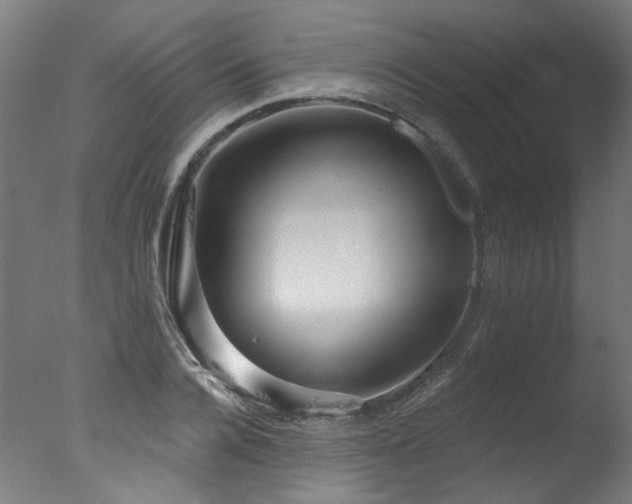 X0000077310936200610201149