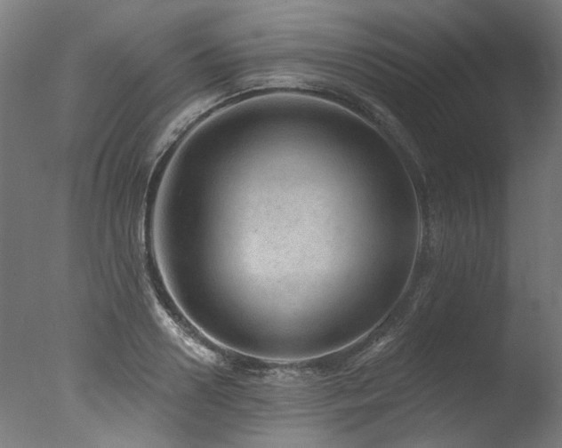X0000077310938200610201149