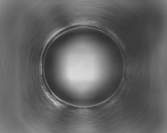 X0000077310940200610201149