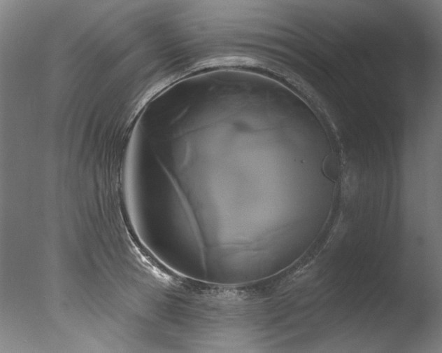 X0000077310945200610201149