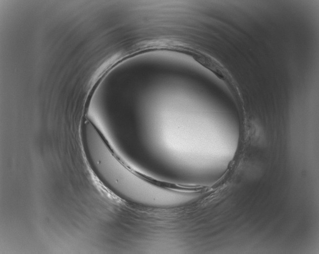 X0000077310946200610201149